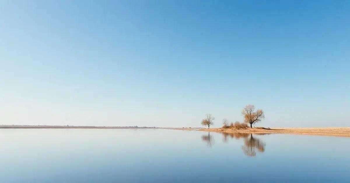 Os benefícios do minimalismo emocional